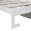 Queen Murphy Bed with Sofa 2 in 1 Design, Storage Solutions & Dual Piston Mechanism