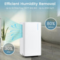 32 Pint Dehumidifier with 3.3FT Drain Hose, 24H Timer & 3 Color Indicator, 2000 sq ft Portable Dehumidifier for Basement, Bedroom, Bathroom